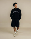 Students giovant knit q-zip sweater